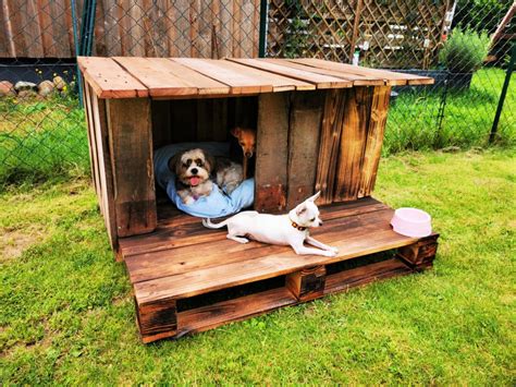 15 Free Diy Pallet Dog House Plans Diy To Make
