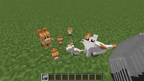 Simply Cats Minecraft Mods Curseforge