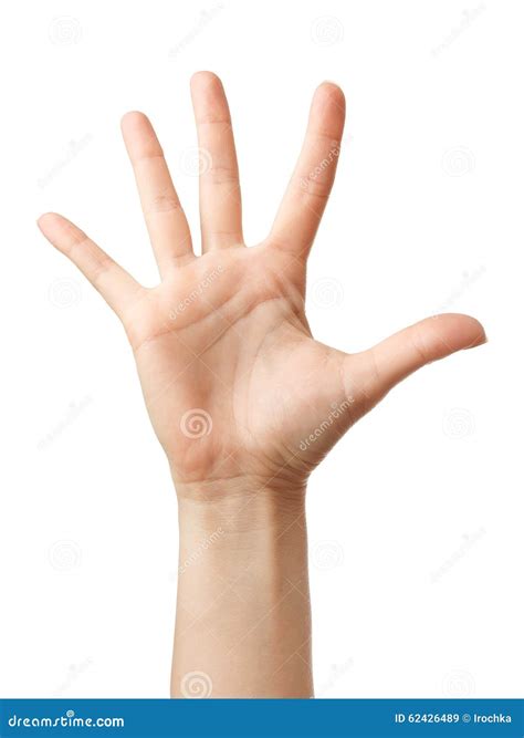 Woman Hand Showing The Five Fingers Isolated Stock Image Image Of