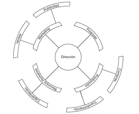 Organigrama Circular Que Es Y Sus Caracter Sticas Ejemplos