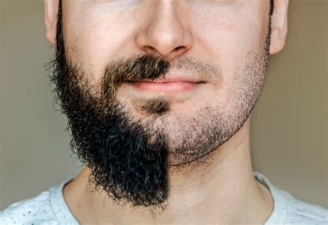 Masculino Barba Estilos Estilos De Barba Tipos De Barba Para My Xxx
