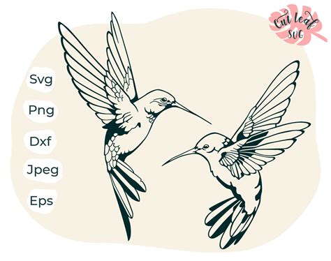 Dxf Vector Png Cut Files For Silhouette Hummingbird Clipart Eps