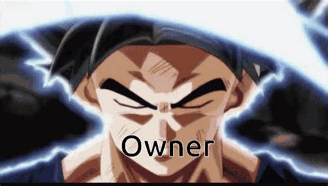 Omni Goku 