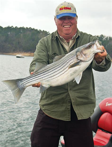 Arkansas Striper Fishing Game And Fish