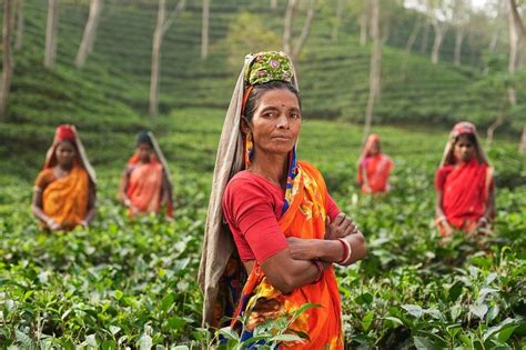 Saija Finance Celebrates 10 Years Of Serving Rural Women In India Business News This Week