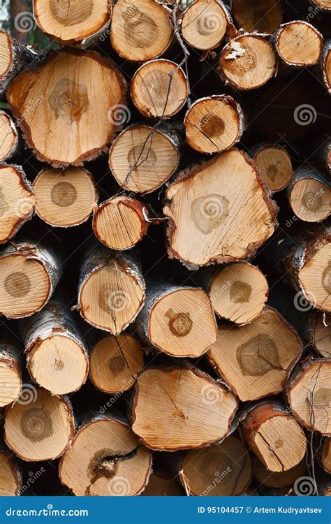 Natural Wooden Logs Cut And Stacked In Pile Stock Image Image Of