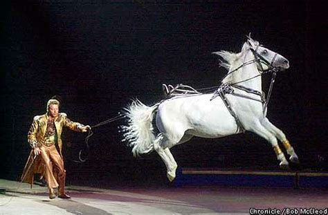 Almost The Greatest Show Animals Performers Make Ringling Circus