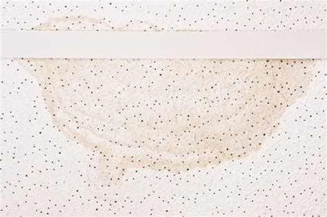 Tools to remove the popcorn from the ceiling. Complete Guide to Painting Popcorn & Textured Ceilings ...