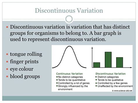PPT - 5.5 Variation and Evolution PowerPoint Presentation, free ...