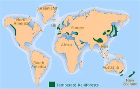 Tropical rainforests are found in areas of heavy rainfall mostly close to the this map shows the location of the wolrd's rainforests. Temperate RainForest - Home