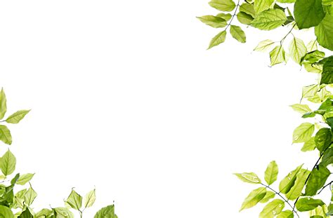 Leaves template for a backdrop Green Leaves PNG Image 18548 - Web Icons PNG
