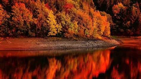 Fall Foliage Backgrounds 48 Images