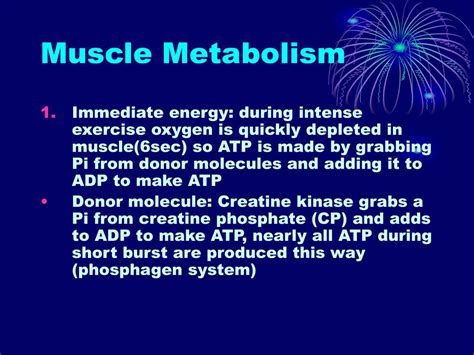 Ppt Muscle Metabolism Powerpoint Presentation Free Download Id6238148