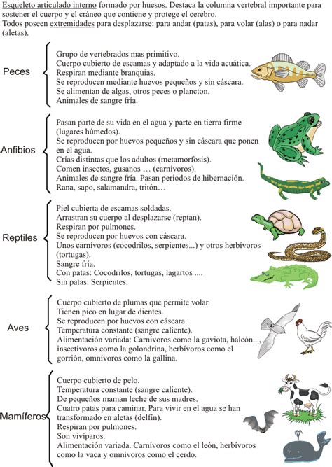 Bienvenidos a jimmy channel sus. Animales Que Respiran Por La Piel Para Colorear - Que ...
