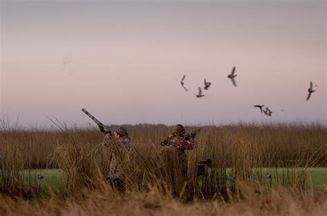 Jacana Lodge Argentina Duck Hunting Buenos Aires Duck Hunting
