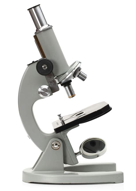 Different Types Of Microscopes Used In Microbiology AgVetnepal