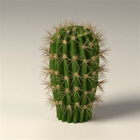 Attractive paper plates with succulents for cactus party. cactus 3d model