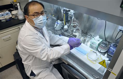 Simply don't leave them laying around in your rabbit's areas. U of A researcher working on salt-coated masks that can ...