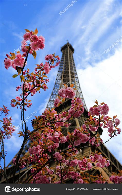Eiffel Tower Spring Time Paris France — Stock Photo © Denyskuvaiev