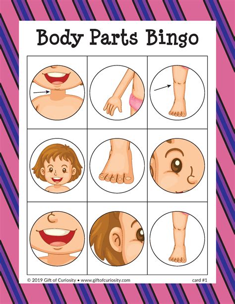 pin on body parts activities