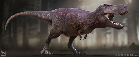 Which Recent T Rex Reconstruction Is More Scientifically Accurate Rdinosaurs