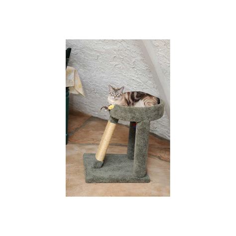 Elevated Cat Bed Using your new cat bed.