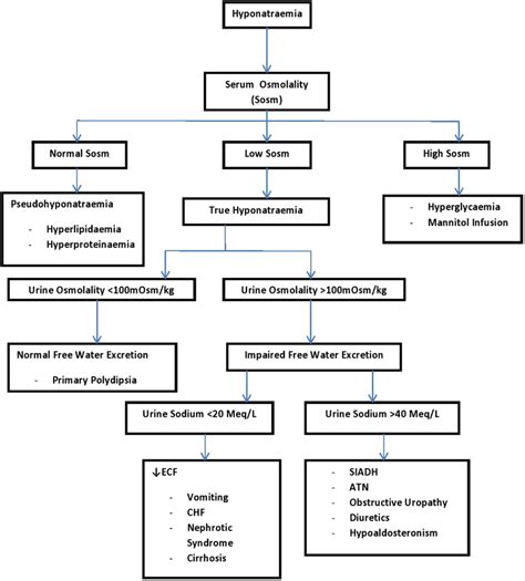 Hyponatremia Approach
