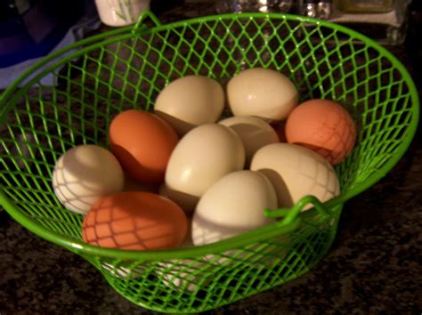 Making Hard Boiled Eggs With FRESH Eggs : 6 Steps (with Pictures) - Instructables