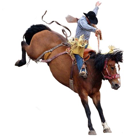 Cowboy Png Transparent Image Download Size 700x700px