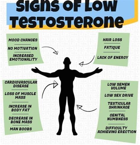 Signs Of Low Testosterone Levels Blog Healthgains