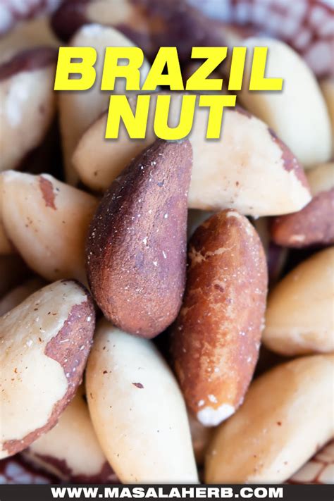 Brazil Nut What Is It And How To Use It