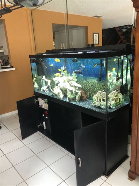 120 Gallon Fish Tank Tank And Stand Only For Sale In Miami Fl Offerup