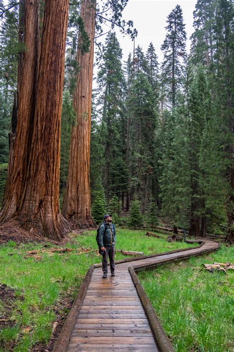 Sequoia And Kings Canyon National Parks — The Greatest American Road Trip