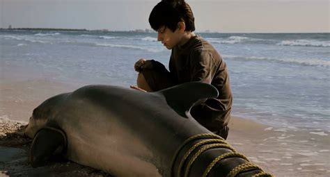 Dolphin Tale: Where Was the 2011 Movie Filmed?