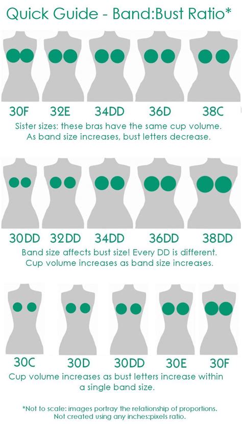 Cup Size Is Relative A Visual Guide To Band Bust Ratio Bra Fitting Bra Fashion