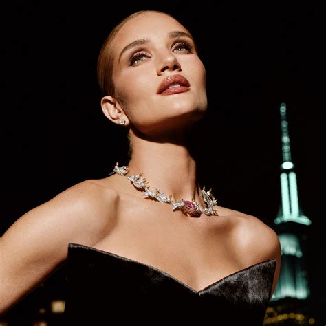 tiffany and co 2023 holiday campaign starring house ambassador rosie huntington whiteley tiffany