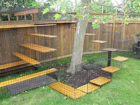 Designed and sold by many suppliers, such as catnets.com and kittywalk systems , this type of cat enclosure gives your pet 30. election news australia: The Cat-Bird Conflict - ABA Blog