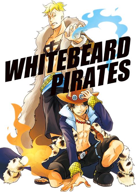 Whitebeard Pirates One Piece Image 1743791 Zerochan