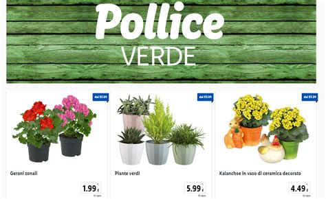 Offerte Pollice Verde Lidl Dal 3 Aprile All 8 Aprile Valide Dalla