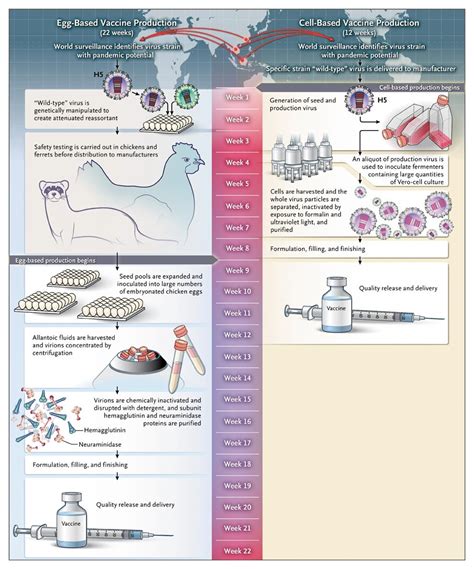 Vaccine Preparedness — Are We Ready for the Next Influenza Pandemic? | NEJM