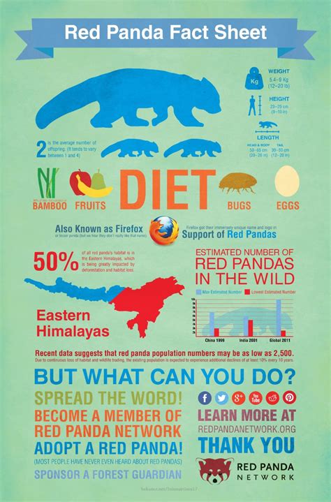 Red Pandas Habitat Facts