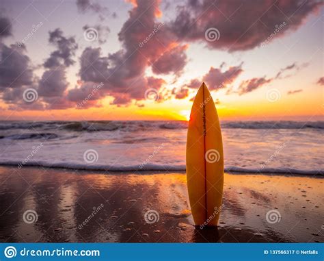 Surfboard On The Beach In Sea Shore At Sunset Time With Beautiful Light