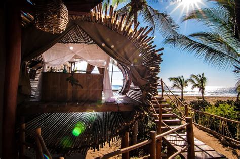 Solar Powered Cylindrical Treehouse In Mexico Is Made With Sustainable