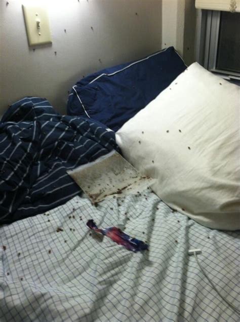 17 Roommate Pranks That Are So Good Theyre Borderline Evil Pranks