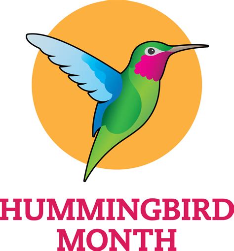 Hummingbird Month | City of Sierra Vista, AZ