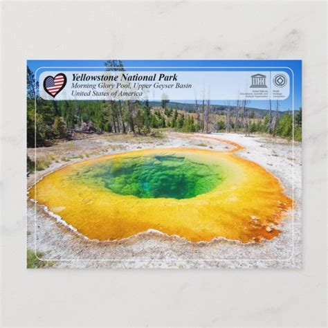 Yellowstone National Park Morning Glory Pool Postcard