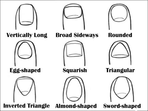 Different Nail Shapes And Names Quickgulf