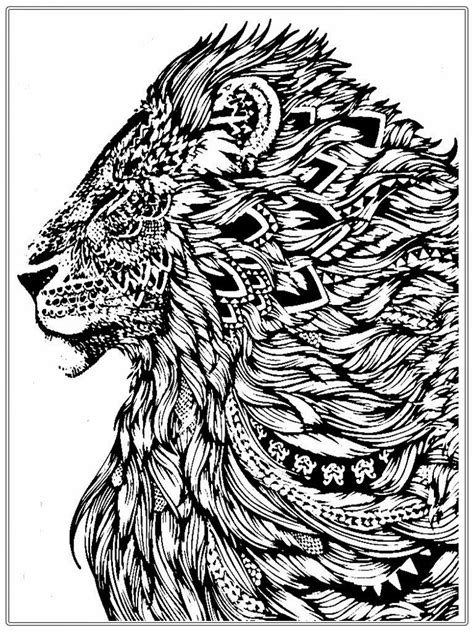 Realistic Lion Adult Coloring Pages Free Realistic Coloring Pages