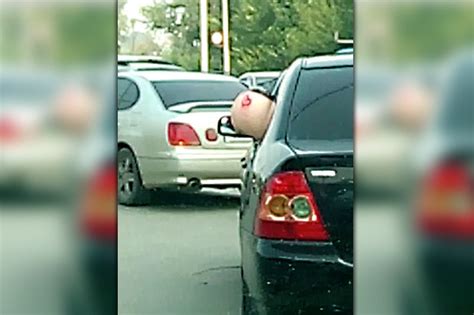 woman sticks bottom out of car window on busy road to flash passers by daily star