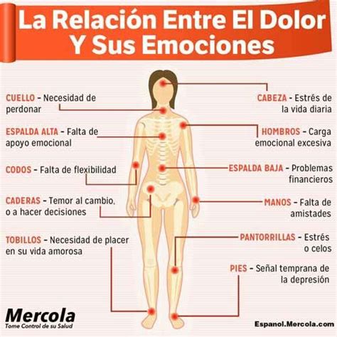 Ía mundial de la salud. Pin de Melina en Escuela (con imágenes) | Salud corporal ...